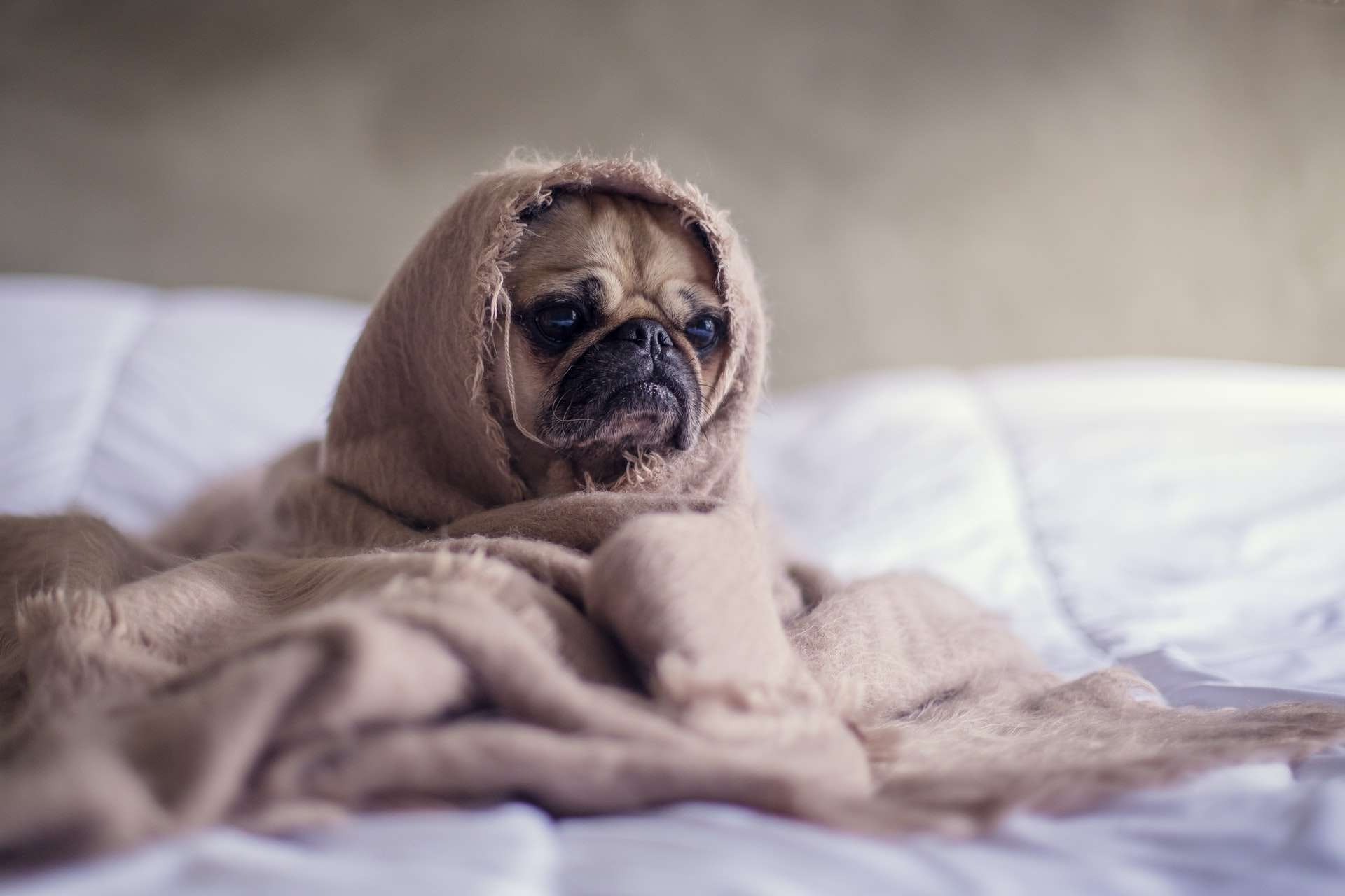 Get Some Sleep